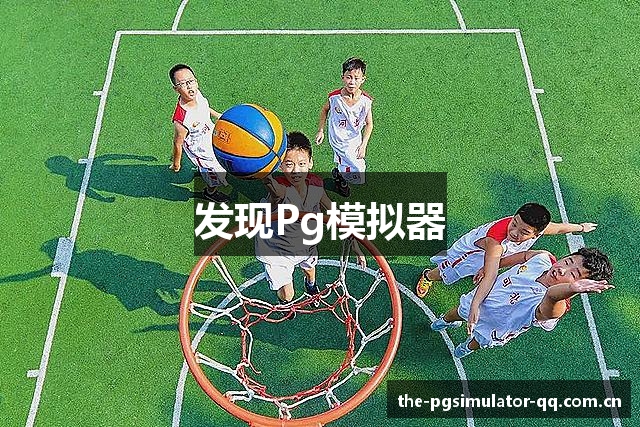 发现Pg模拟器